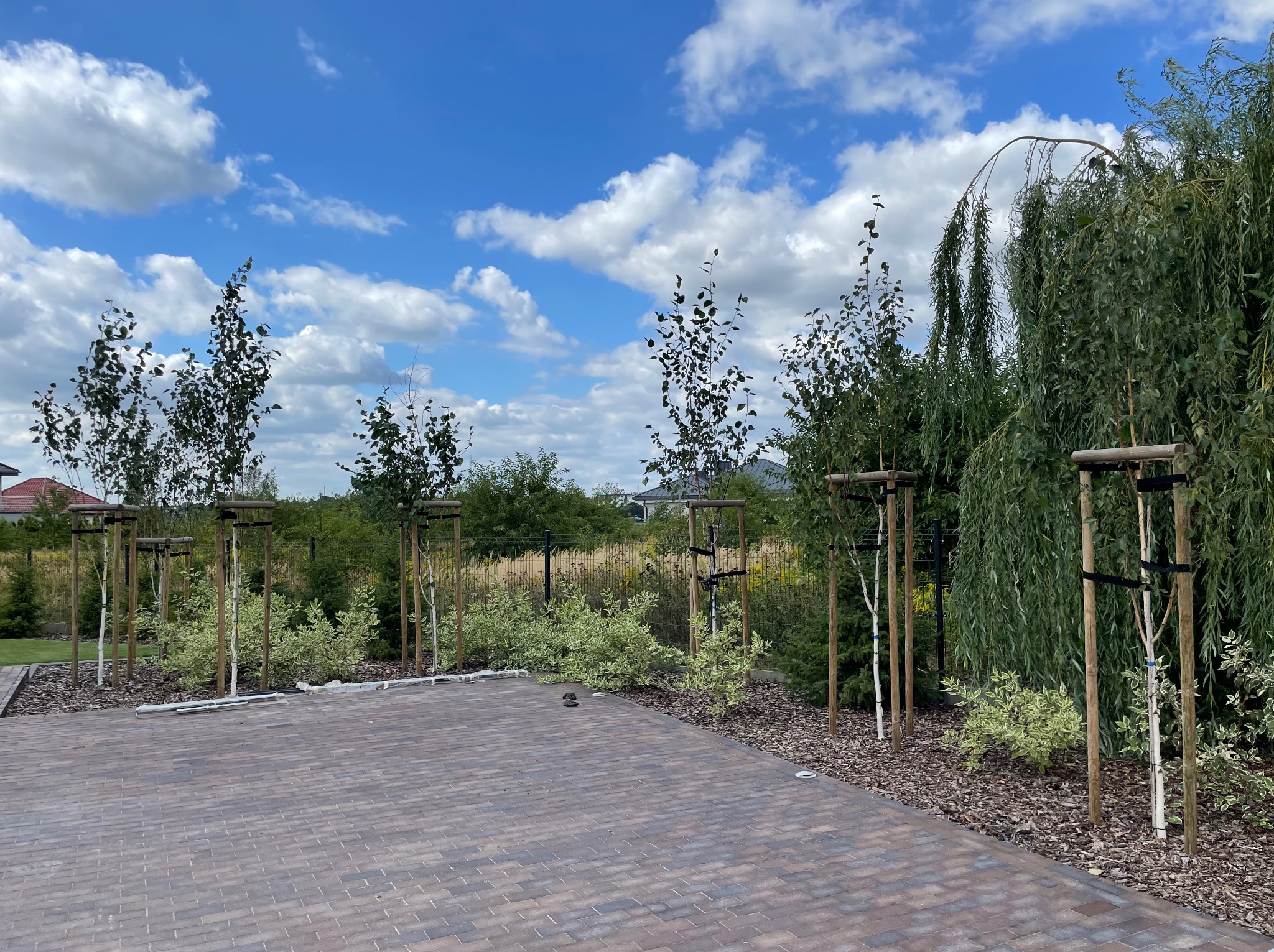 Ułożona kostka brukowa w odcieniach brązu, obok posadzone młode drzewa z drewnianymi podporami i krzewy, błękitne niebo z chmurami w tle.