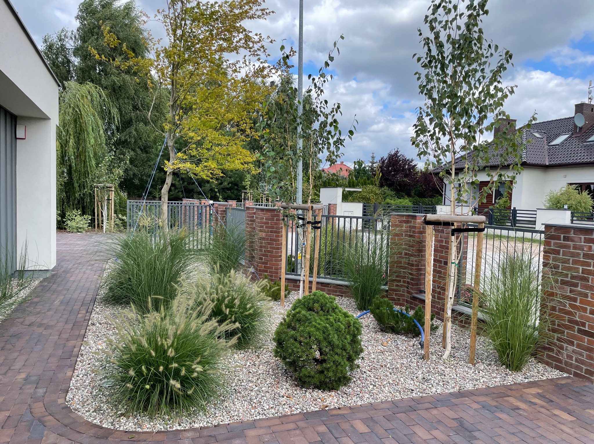Nowoczesny ogród przed domem z kostki brukowej, ozdobne trawy i młode drzewka podparte drewnianymi palikami, wysypane białym kamieniem.
