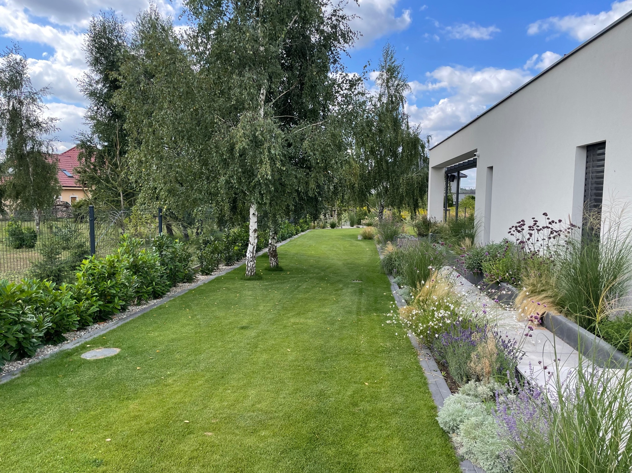 Przestronny, zadbany trawnik z nasadzeniami bylin i traw ozdobnych przy nowoczesnym domu z białymi ścianami, widoczne dwie brzozy, błękitne niebo z obłokami.
