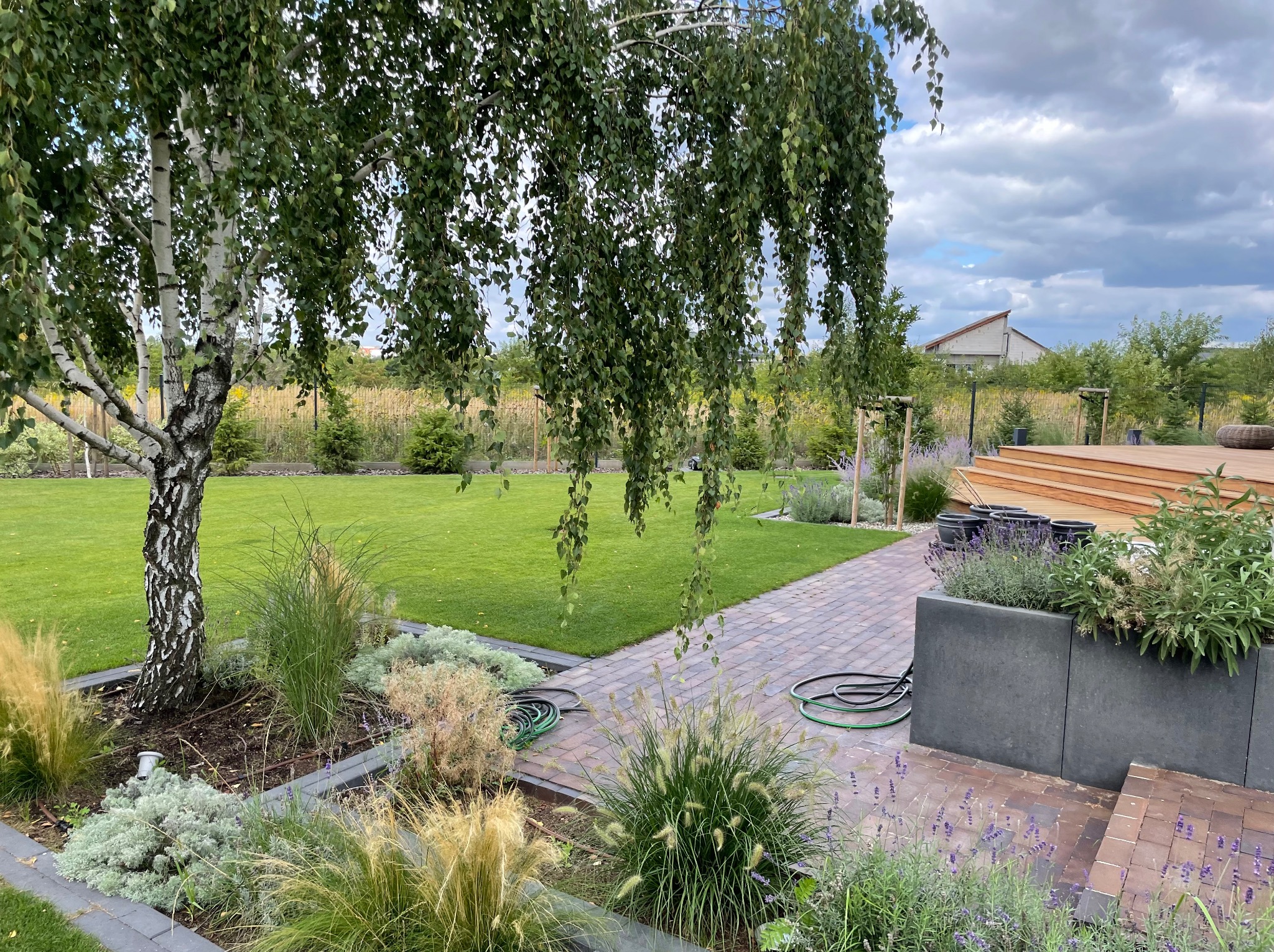 Starannie zaprojektowany ogród z malowniczą brzozą, ozdobnymi trawami i rabatami kwiatowymi, prowadzący do drewnianego tarasu z donicami, na tle rozległego trawnika i zabudowań gospodarczych.