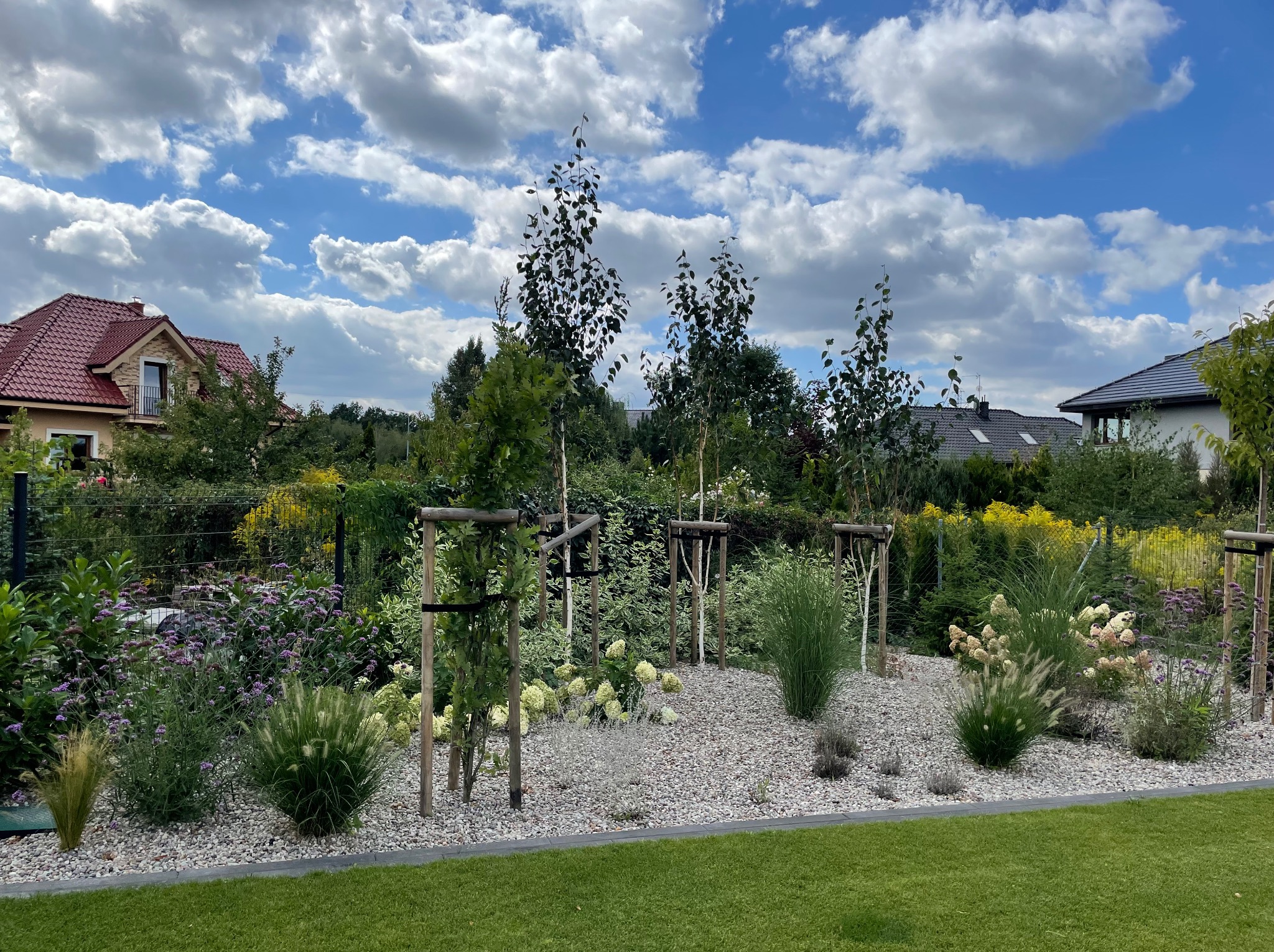 Nowo założony ogród z młodymi drzewkami podpartymi drewnianymi konstrukcjami, białymi kamieniami, ozdobnymi trawami i kwitnącymi krzewami na tle błękitnego nieba z obłokami.