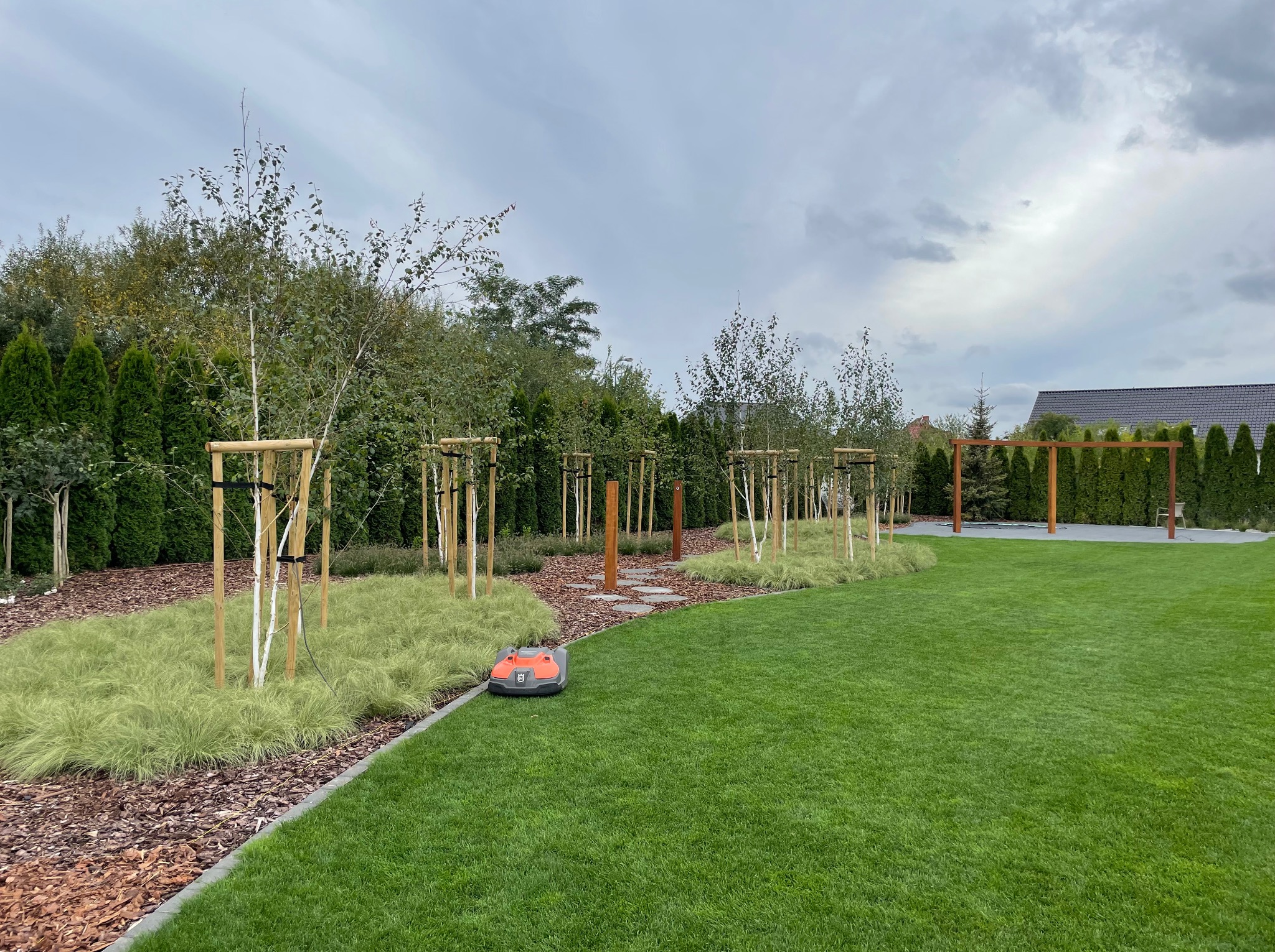Automatyczna kosiarka Husqvarna na idealnie przystrzyżonym trawniku, w tle rząd młodych drzewek brzozy podpartych drewnianymi stelażami i ozdobna rabata z kory.