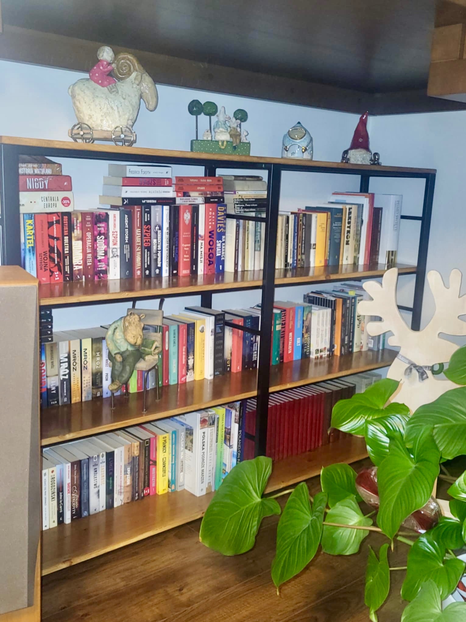 Regał na książki z metalową ramą i drewnianymi półkami, wypełniony książkami, dekoracjami i rośliną doniczkową w tle, z różnorodną kolekcją książek i ozdób.