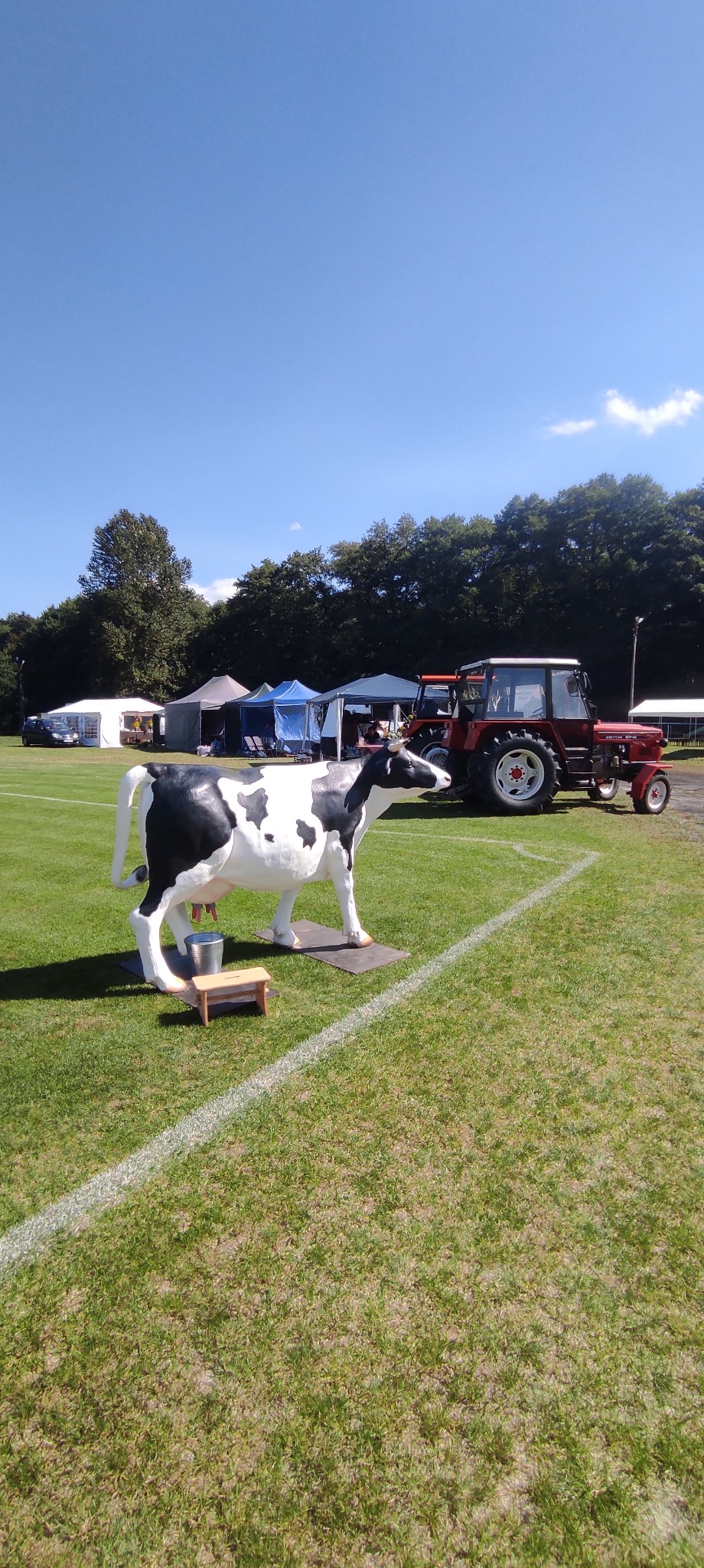 Plenerowa impreza z namiotami, czerwonym traktorem i figurą krowy z wiaderkiem na trawie. Słoneczny dzień, błękitne niebo.