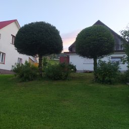 Usługi leśno ogrodnicze RAFII - Dwa ozdobnie przycięte drzewa w kształcie kuli na tle dwóch domów i zachodzącego słońca, z przyczepą i drabiną widoczną w prawym dolnym rogu.