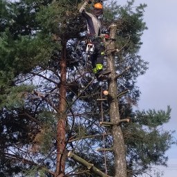 Usługi leśno ogrodnicze RAFII - Ogrodnik Sanok