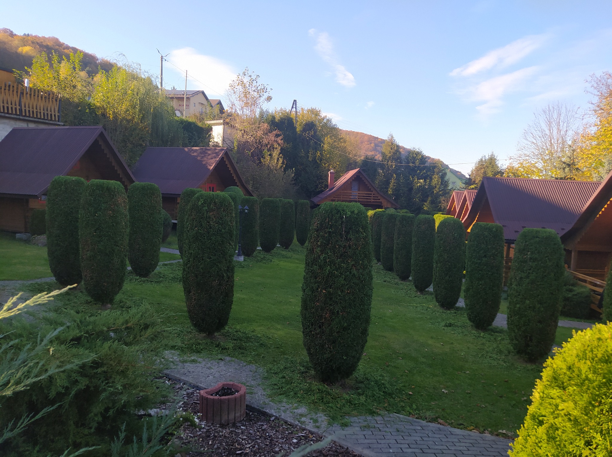 Równy szpaler strzyżonych, kolumnowych krzewów iglastych na tle domków letniskowych i zalesionego wzgórza w słoneczny dzień.