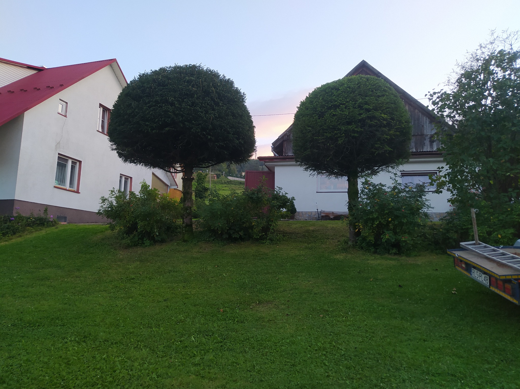 Dwa ozdobnie przycięte drzewa w kształcie kuli na tle dwóch domów i zachodzącego słońca, z przyczepą i drabiną widoczną w prawym dolnym rogu.