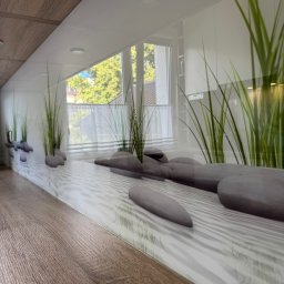 Profesjonalna Firma Sprzątająca - Martyna Zasada - Szklany panel dekoracyjny z motywem zen w kuchni po sprzątaniu w Wieniawie. Rośliny i kamienie na tle okna. Nowoczesny design, czysta przestrzeń.