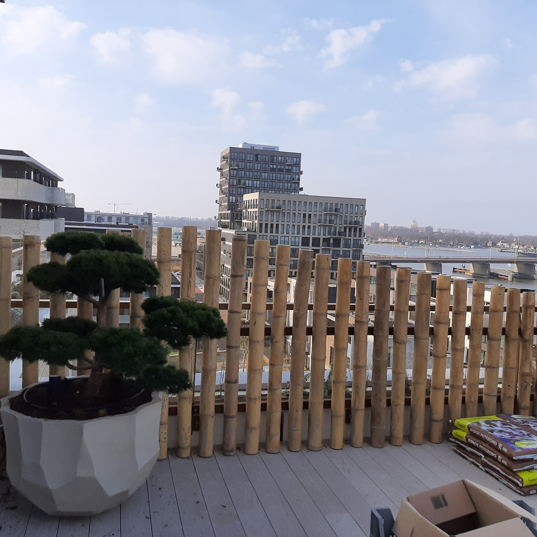 Balkon z bambusową balustradą, na podłodze deski kompozytowe, w donicy bonsai, w tle zabudowa miejska i rzeka.