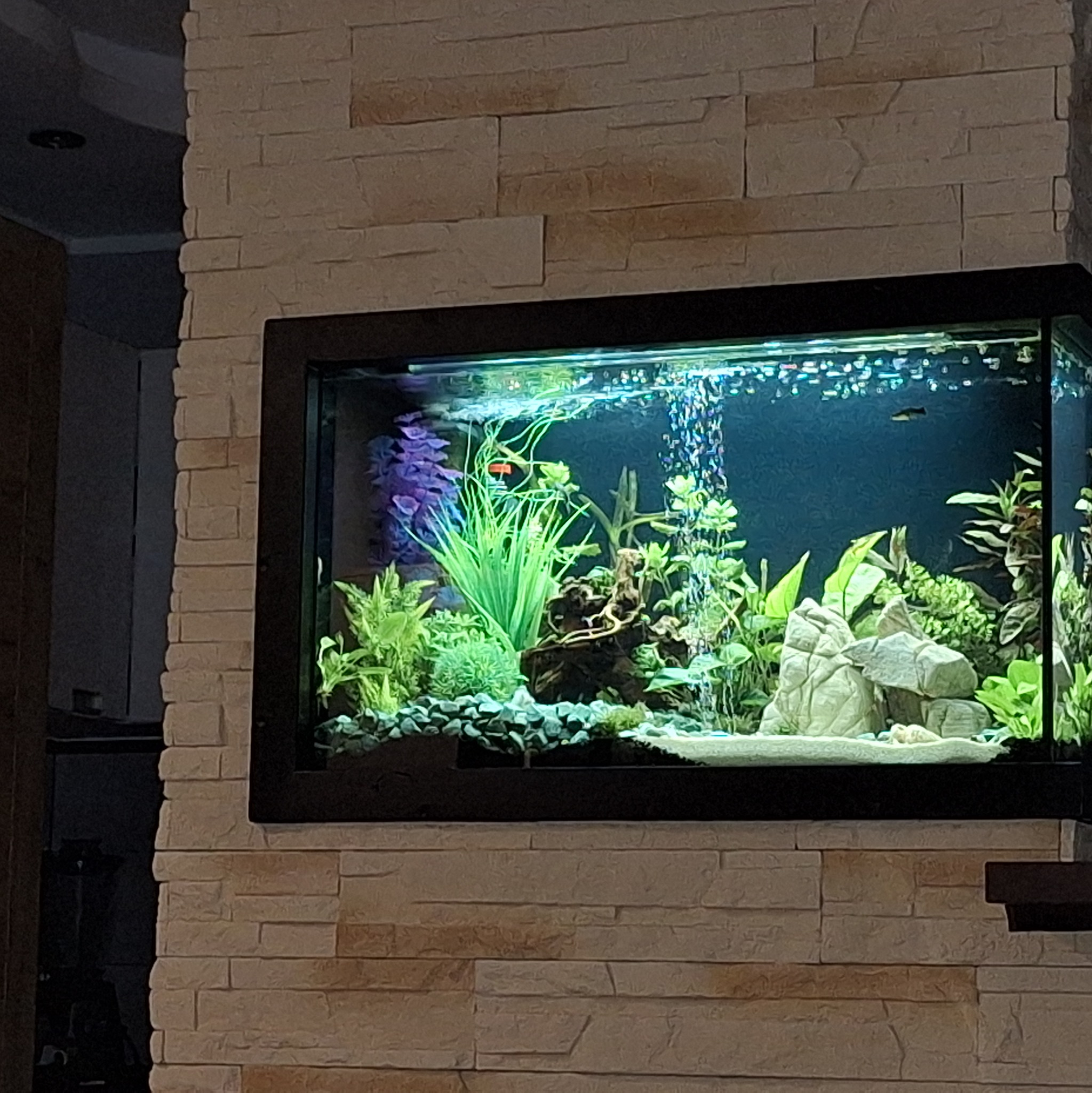 Akrylowe akwarium z roślinami, kamieniami i rybkami wbudowane w ścianę z dekoracyjnej cegły.