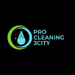 Pro Cleaning3City - Mycie Okien Dachowych Gdańsk