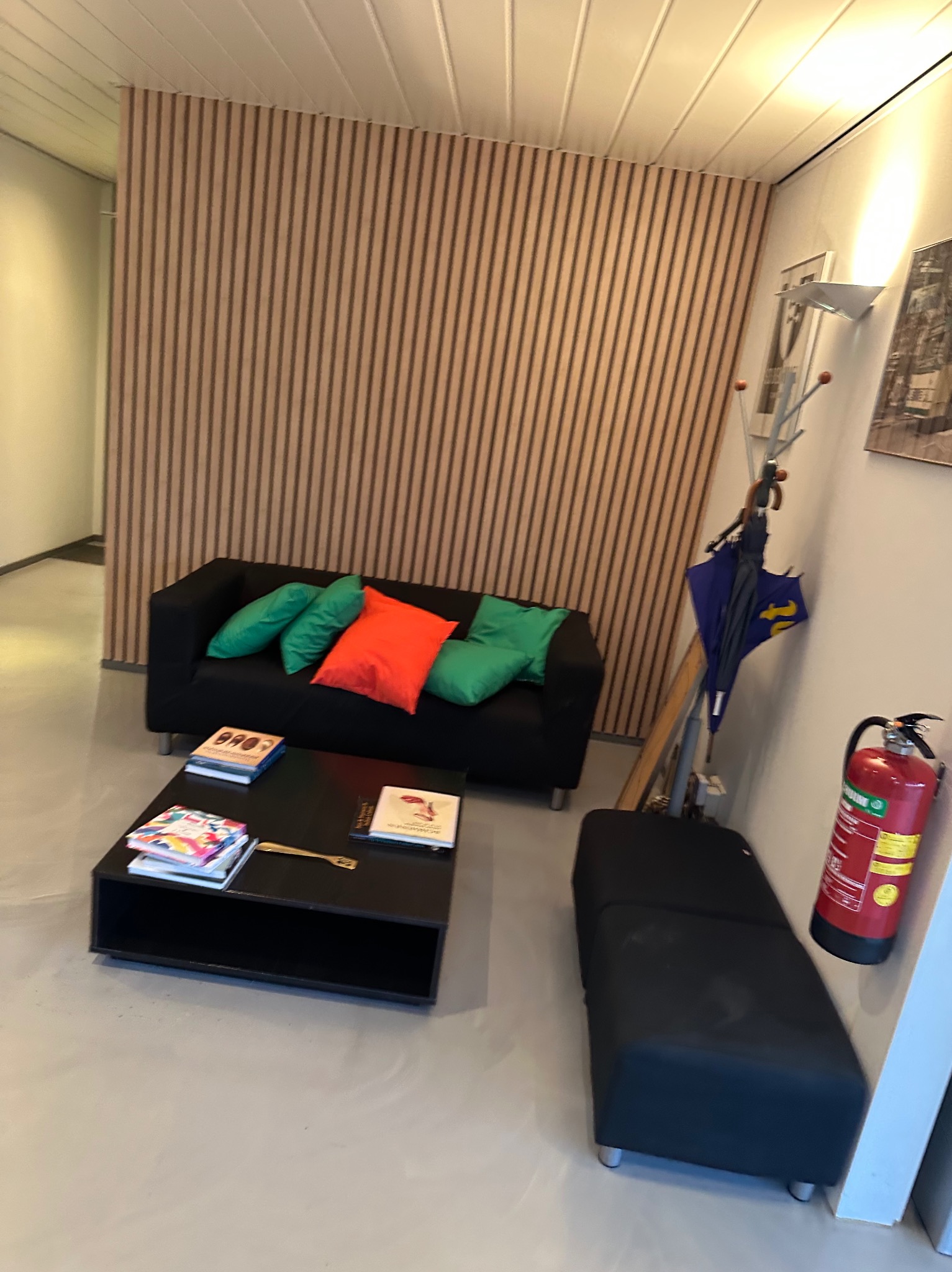 Nowoczesne wnętrze z drewnianą ścianą, czarną sofą z zielonymi i pomarańczową poduszką, czarnym stolikiem kawowym z książkami, leżanką, wieszakiem na ubrania z parasolem i gaśnicą.