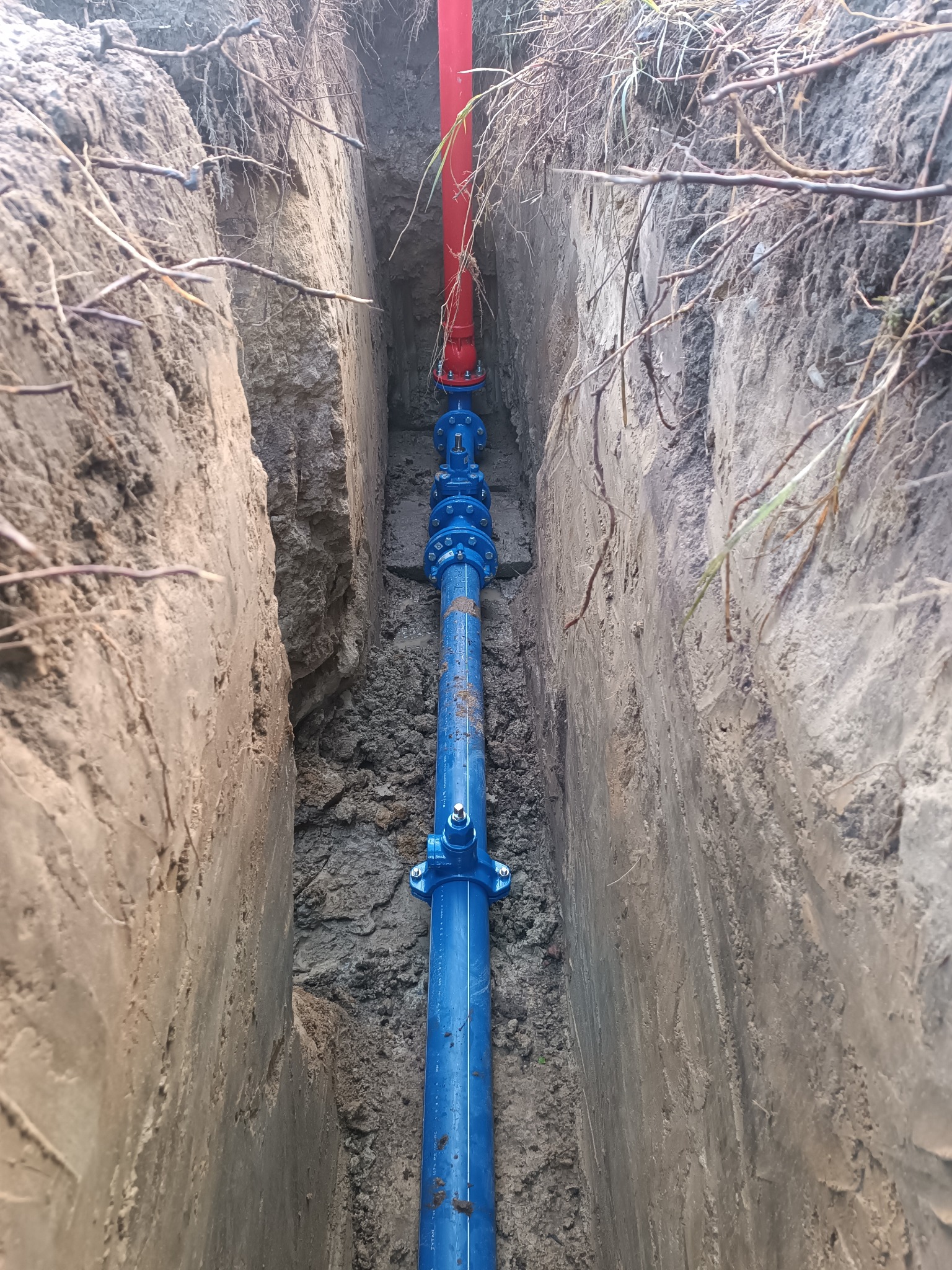 Niebieska rura wodociągowa z czerwonym pionowym odcinkiem w wykopie ziemnym. Widoczne złącza i zawory. Ściany wykopu zróżnicowane, z korzeniami.