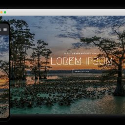 Tworzenie stron internetowych Jaworzno 1