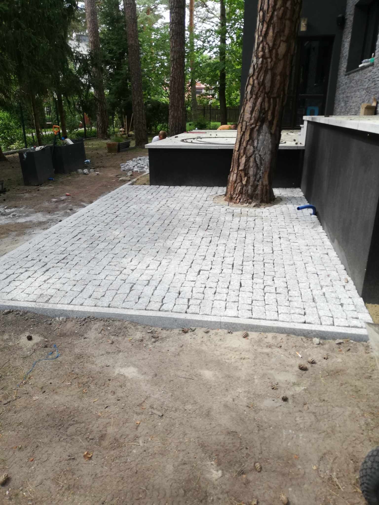 Ułożona nawierzchnia z jasnoszarej kostki granitowej wokół pnia drzewa przy ścianie budynku. Widoczne drobne niedoskonałości w ułożeniu przy obrzeżu.