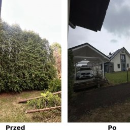 Drewno kominkowe Dobczyce 1