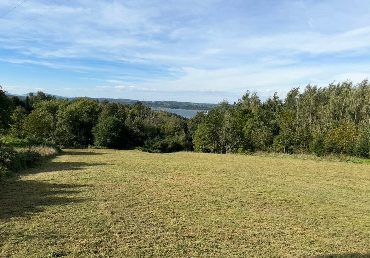 Wykaszanie nieużytków kosiarką bijakową