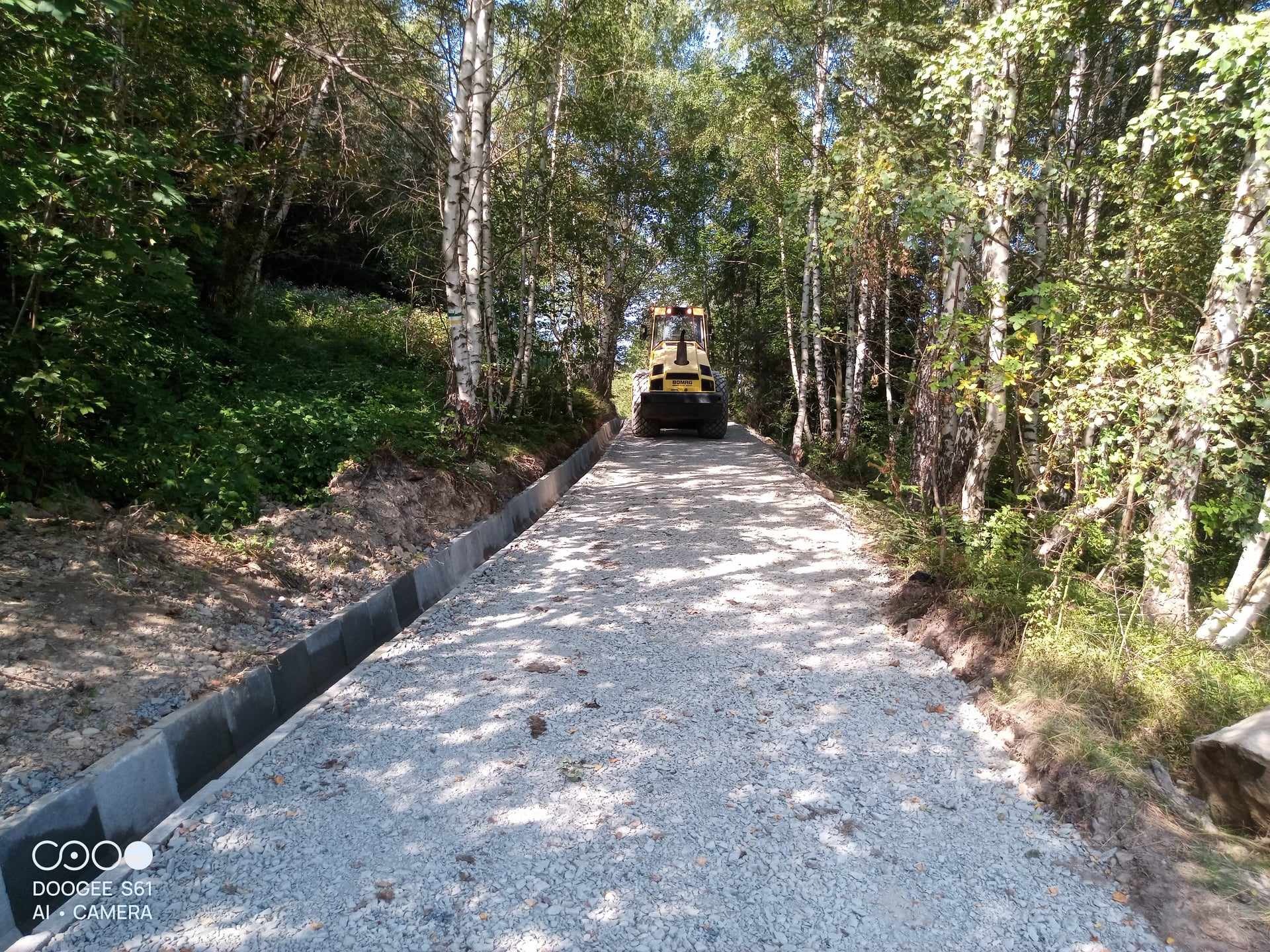 Żółty walec drogowy BOMAG ubija nowo wysypany żwir na drodze leśnej z betonowymi krawężnikami w słoneczny dzień.
