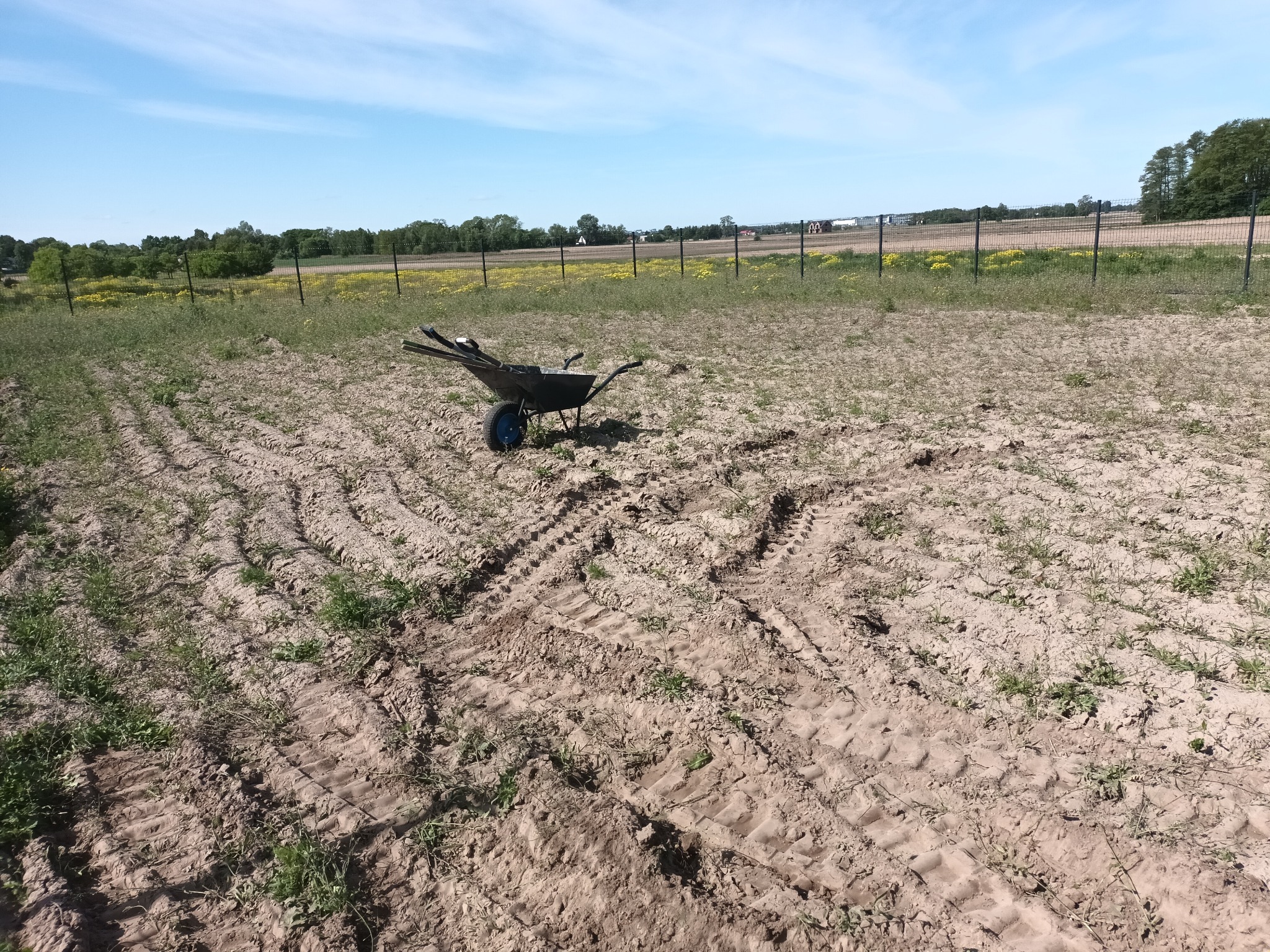 Metalowa taczka z narzędziami stoi na zaoranym polu, w tle widoczne ogrodzenie i drzewa. Słoneczny dzień.