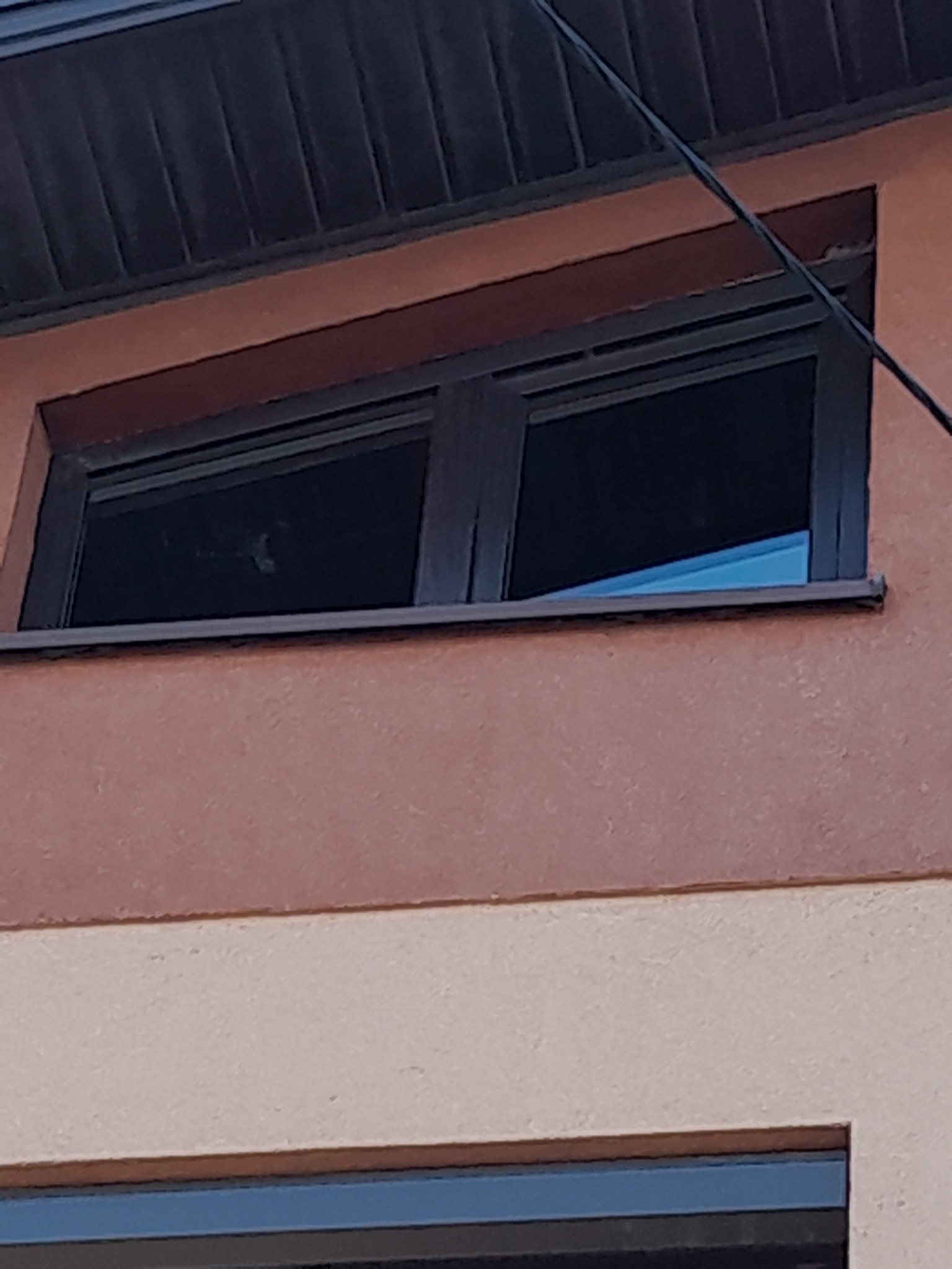 Szare okno na elewacji dwukolorowego budynku. Widoczne odbicie światła w szybie i fragment parapetu. Ujęcie z dołu, blisko okna.