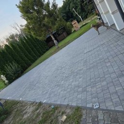 Karol Piątkowski - Szeroki podjazd z szarej kostki brukowej ułożonej w regularny wzór, z widocznym psem rasy wyżeł weimarski spacerującym wzdłuż krawędzi budynku, oraz rzędem wysokich tuj tworzących naturalne...