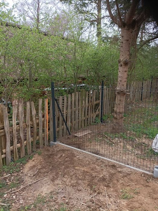 Nowe ogrodzenie z siatki z betonową podmurówką i drewnianym płotem w tle, widoczne drzewa i krzewy.