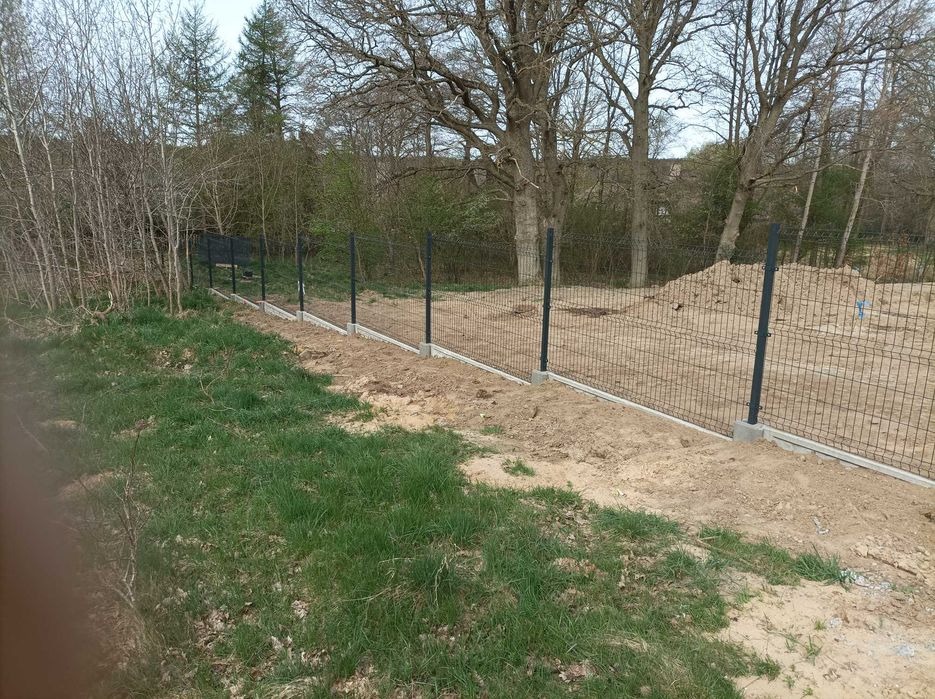 Nowo postawione, czarne ogrodzenie panelowe z betonową podmurówką na granicy działki z młodym lasem, widok z perspektywy trawy.