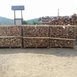 Ułożone na paletach, pocięte i porąbane kawałki bukowego drewna opałowego, przygotowane do sezonowania, z widocznym w tle stosem okrąglaków i zadaszoną studnią.