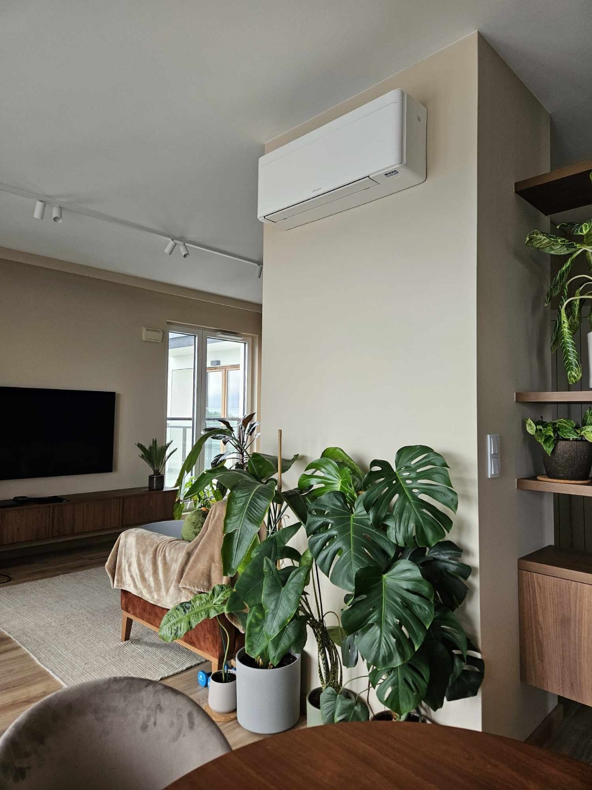 Biała jednostka klimatyzacji zamontowana na ścianie w salonie z licznymi roślinami doniczkowymi, widoczne oświetlenie szynowe i drewniane meble.