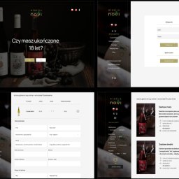 Tworzenie stron internetowych Kraków 2