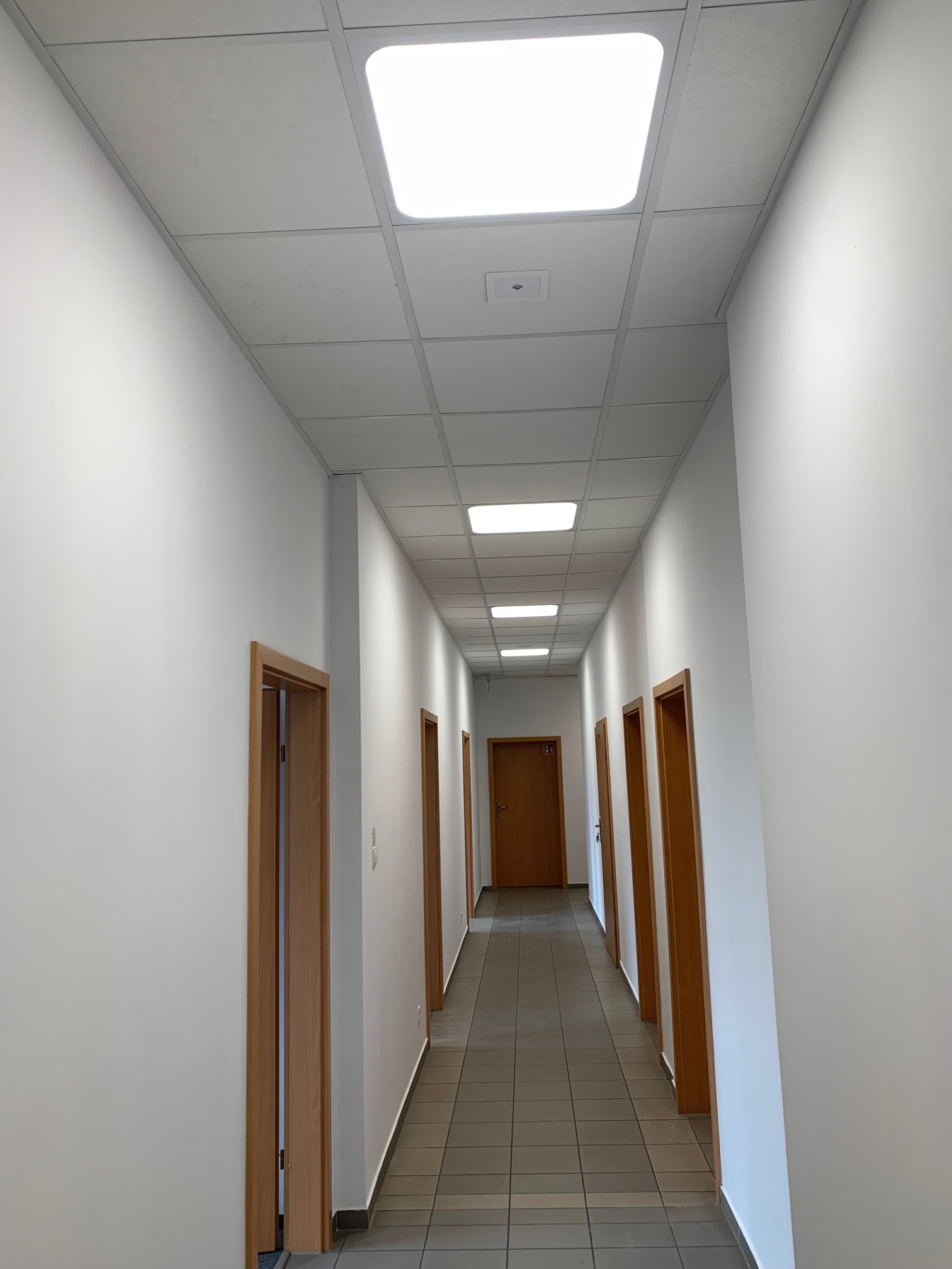 Długi korytarz z rzędem drewnianych drzwi po obu stronach, oświetlony kwadratowymi panelami sufitowymi, z szarą podłogą z płytek.