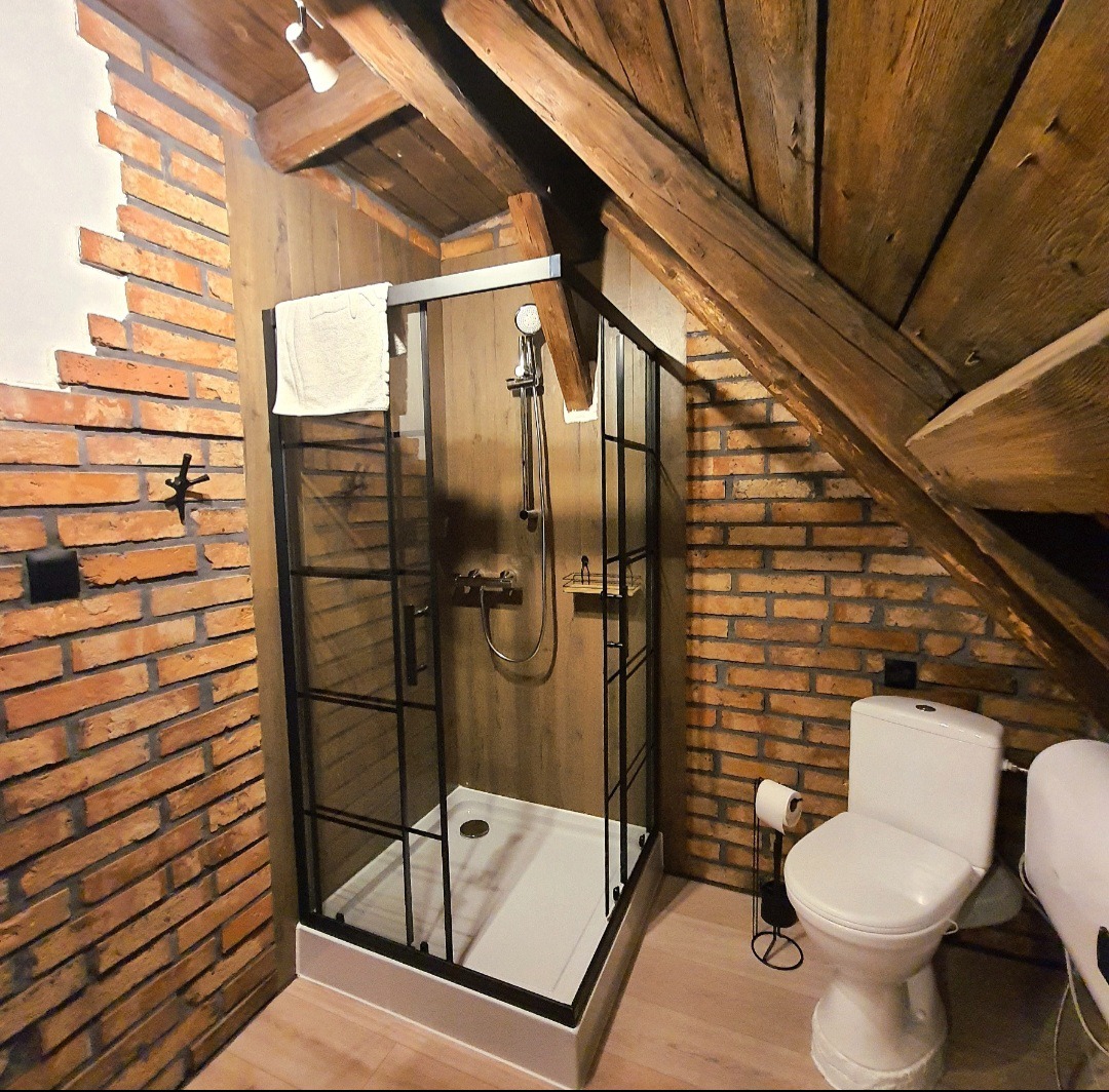 Łazienka na poddaszu z kabiną prysznicową typu walk-in, ceglanymi ścianami i drewnianym stropem. Biała toaleta i minimalistyczny design.