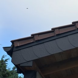 Patryk Kozłowski (3W Woda Wnętrza Wysokości - Fragment dachu z ciemnej łupkowej dachówki, brązowe obróbki blacharskie, widoczna rynna, w tle drzewo iglaste i błękitne niebo z sylwetką ptaka.