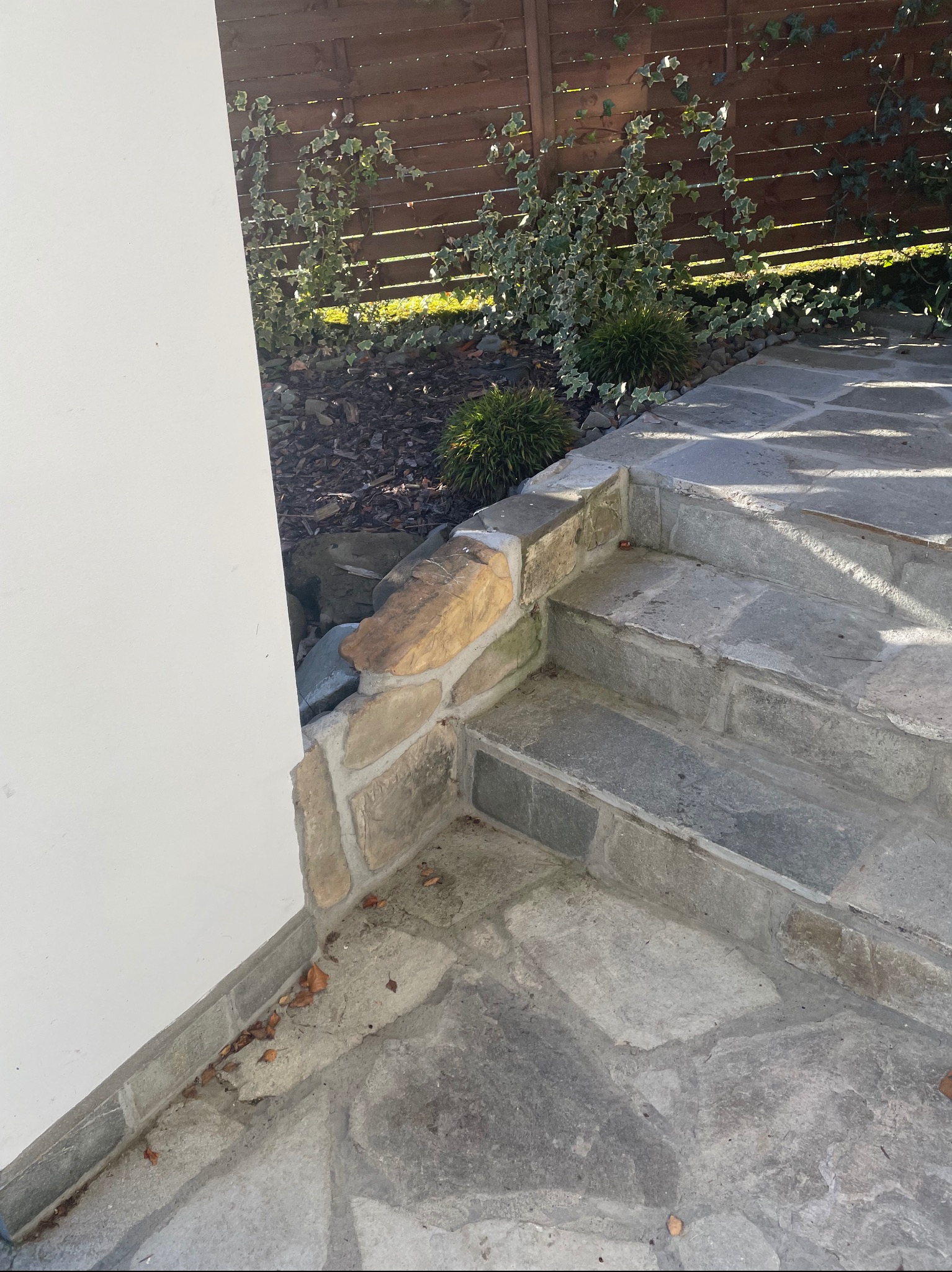 Kamienne schody z nieregularnych płyt prowadzą do ogrodu w Tokarni, obok biała ściana budynku i drewniany płot z bluszczem.