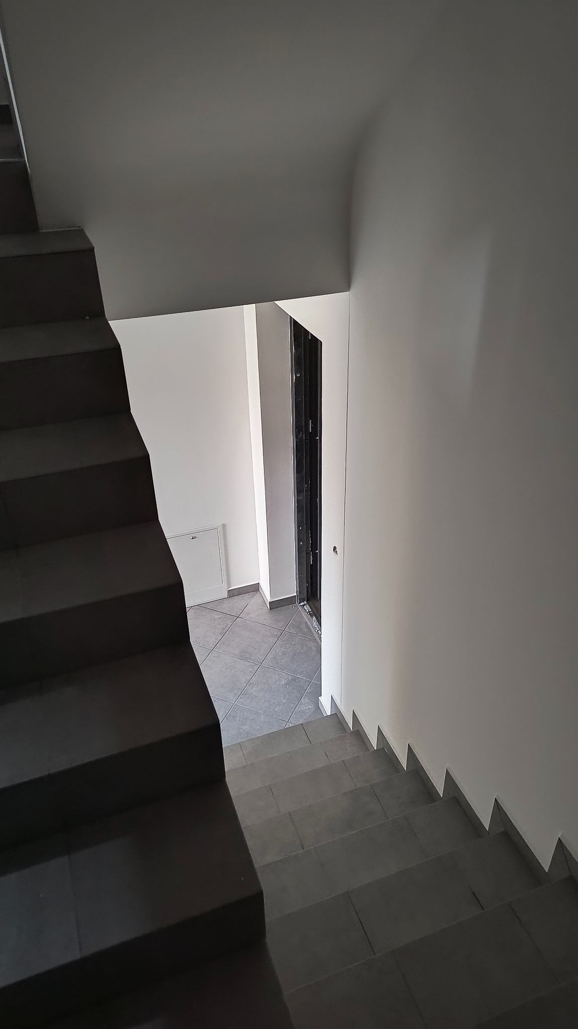 Klatka schodowa z ciemnymi schodami wyłożonymi płytkami, prowadząca w dół do korytarza z szarą podłogą i białymi ścianami, widoczne drzwi wejściowe.