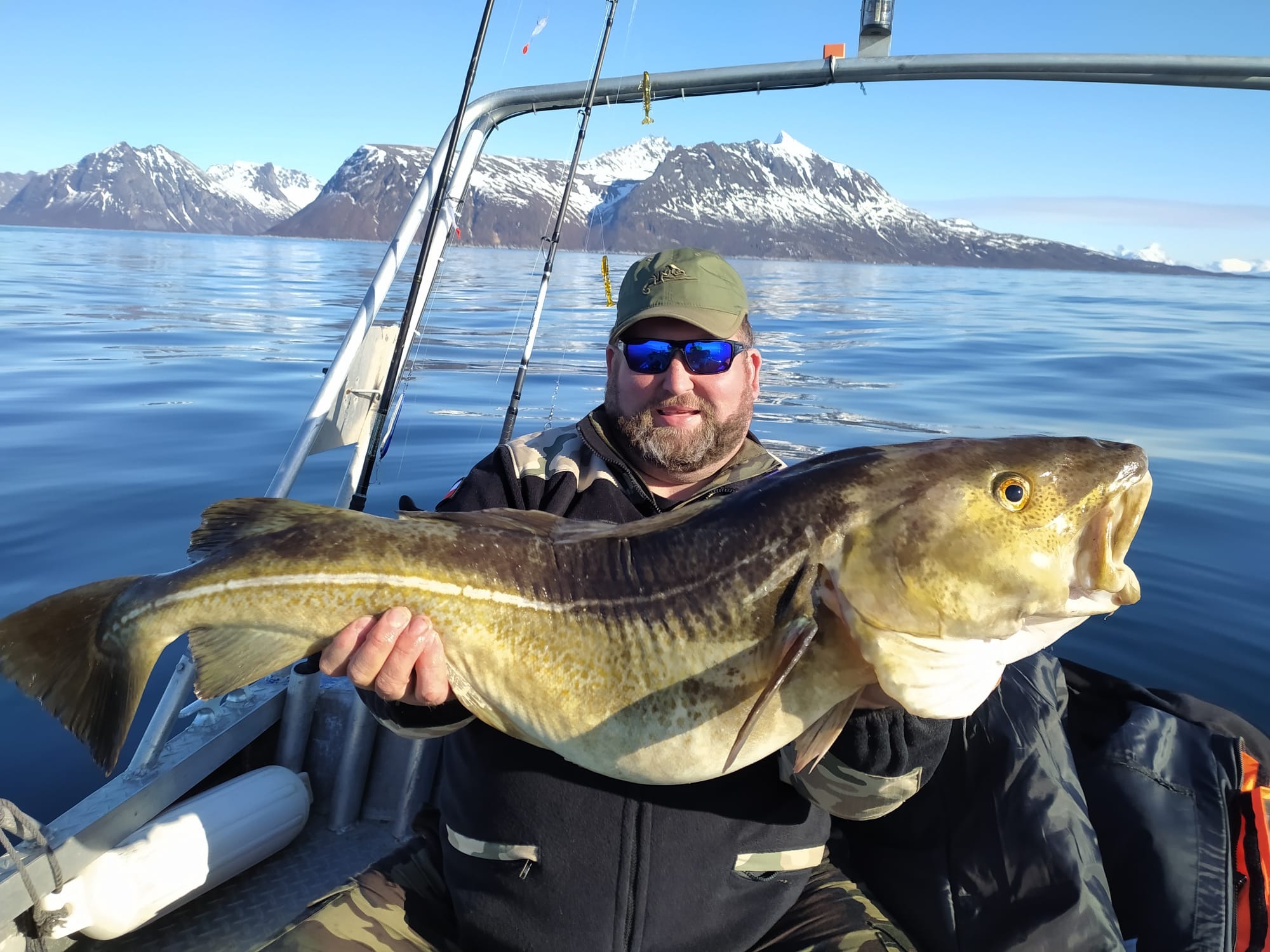 Uśmiechnięty mężczyzna w okularach i czapce trzyma ogromnego dorsza na tle fiordu z ośnieżonymi górami podczas połowu z łodzi.