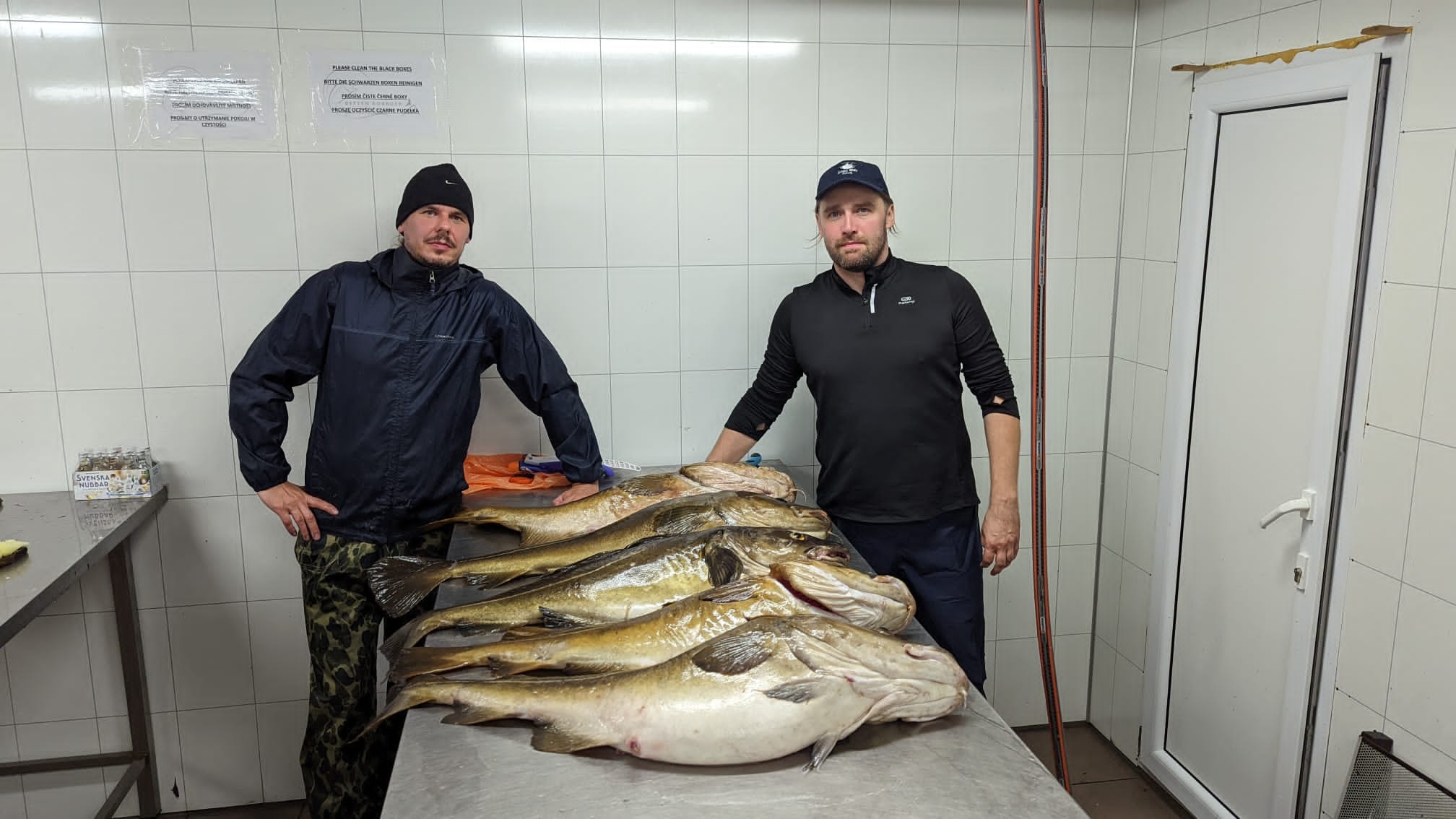 Dwóch mężczyzn pozuje obok stołu z połowem dorszy w chłodnym pomieszczeniu z białymi kafelkami i informacjami na ścianach.