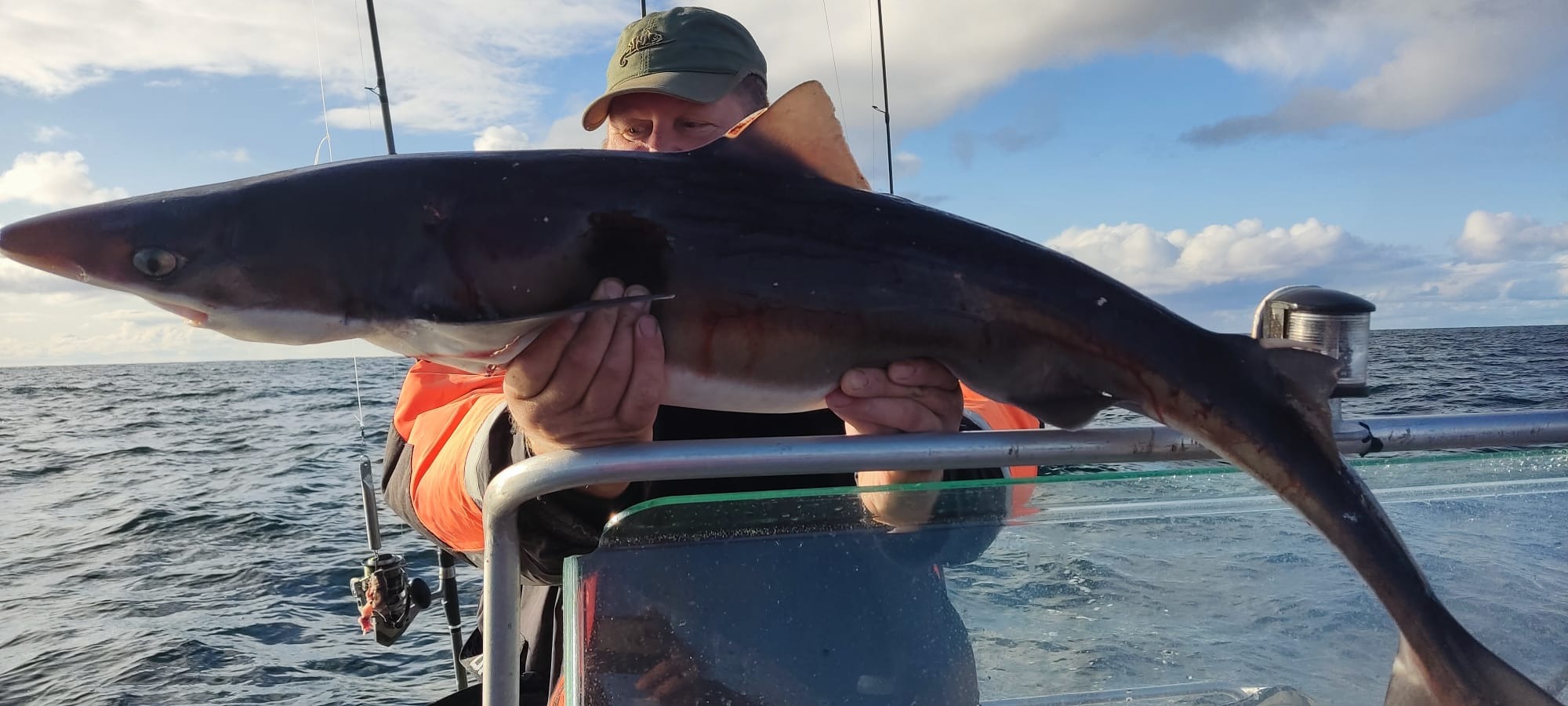 Mężczyzna w kapeluszu i kamizelce ratunkowej trzyma dużego rekina na łodzi, widoczne wędki i morze w tle.
