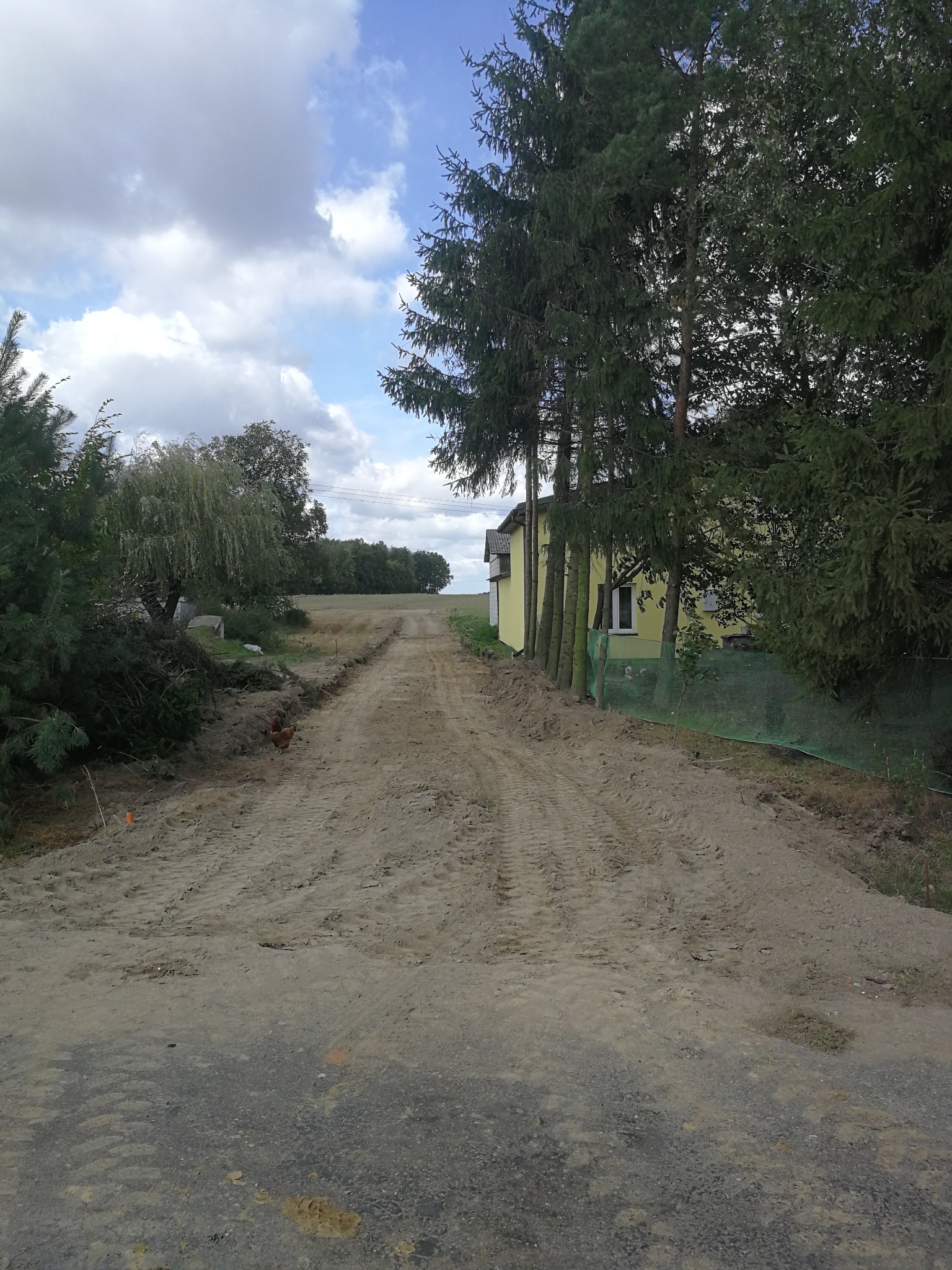 Utrwardzona droga gruntowa z wyraźnymi śladami opon, biegnąca w kierunku oddalonego lasu. Po lewej stronie widoczna kura, a po prawej żółty budynek.