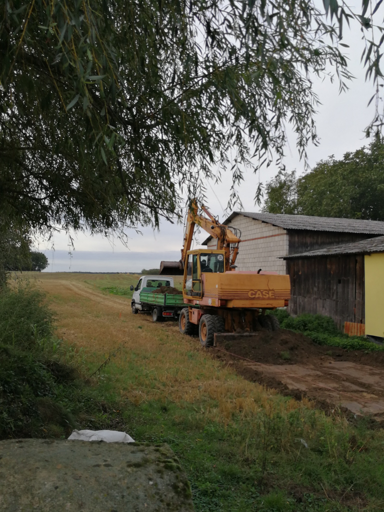Żółta koparka CASE ładuje ziemię na przyczepę ciężarówki na polu, w tle budynki gospodarcze i drzewa. Prace ziemne w toku.