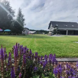 Rozległy trawnik z widokiem na nowoczesny dom, ozdobne drzewko bonsai przy wejściu, plac zabaw w tle i fioletowe kwiaty na pierwszym planie.