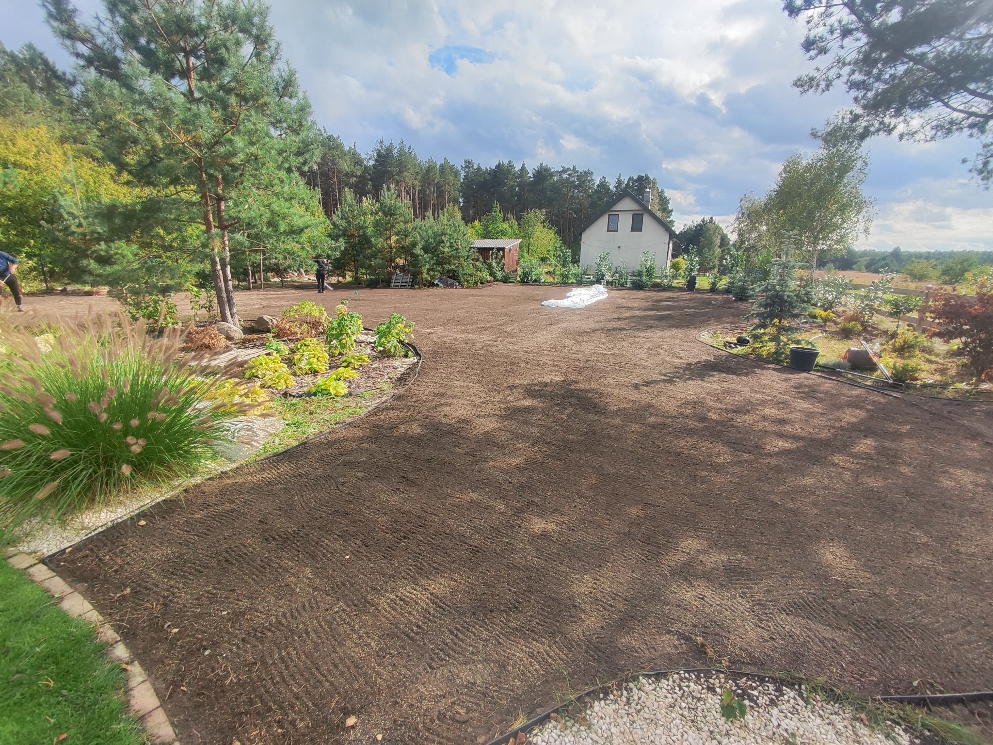 Przygotowany teren pod trawnik z widoczną strukturą gleby po niwelacji, obrzeża z kostki, w tle dom jednorodzinny i drzewa.