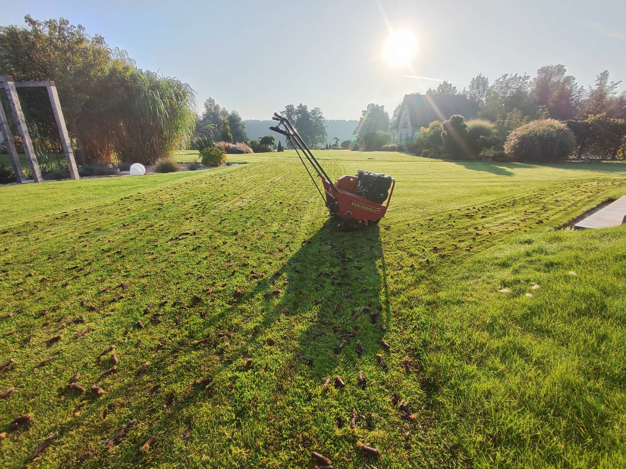 Aerator trawnikowy Weibang na zielonej trawie z wyciągniętymi rdzeniami ziemi, w tle dom z ogrodem w słoneczny dzień.