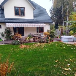 Wycinka drzew Grodzisk Mazowiecki 4