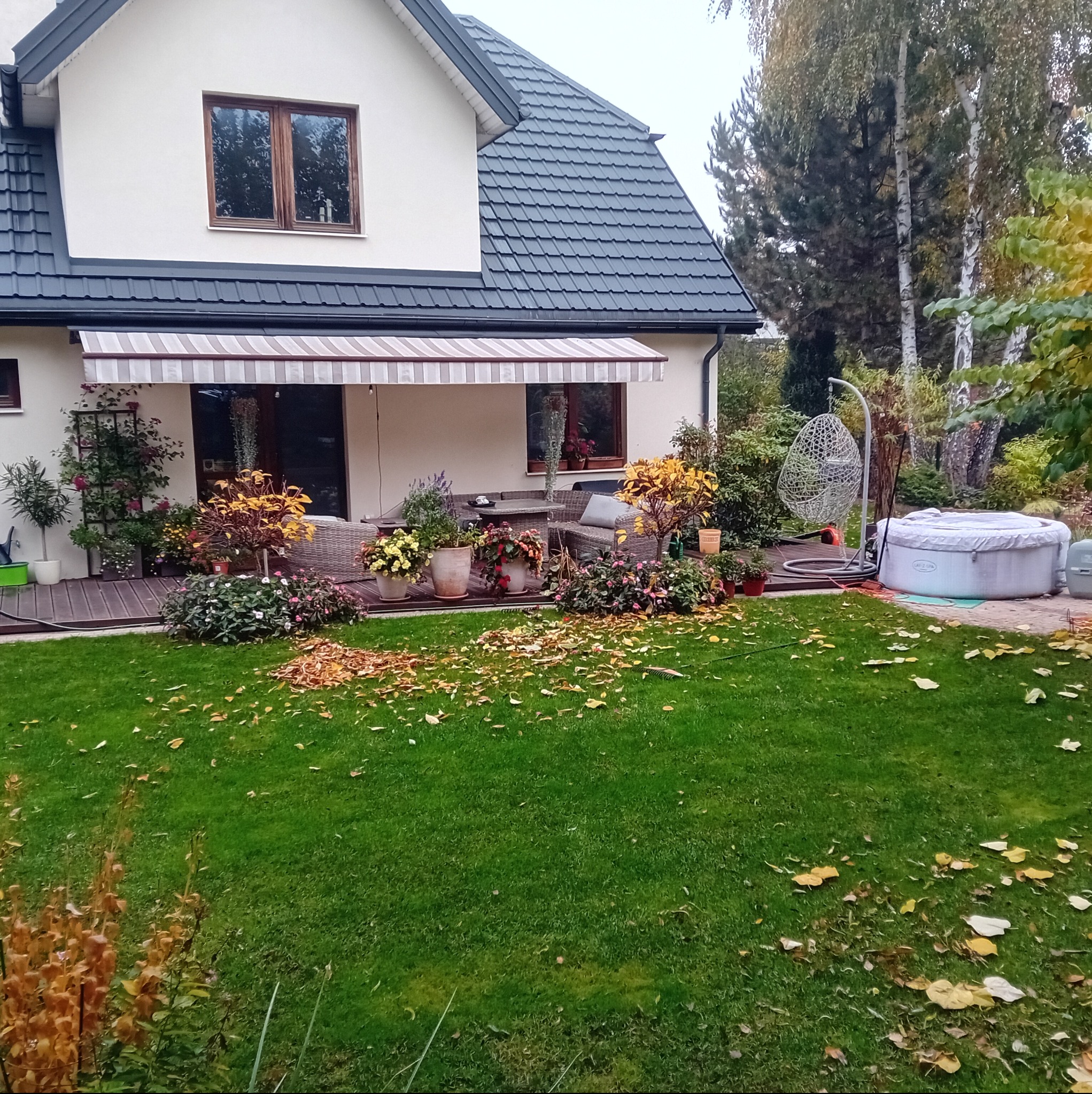 Ogród z domem jednorodzinnym w tle, na pierwszym planie trawnik pokryty opadłymi liśćmi, taras z meblami ogrodowymi i doniczkami z kwiatami, oraz jacuzzi.