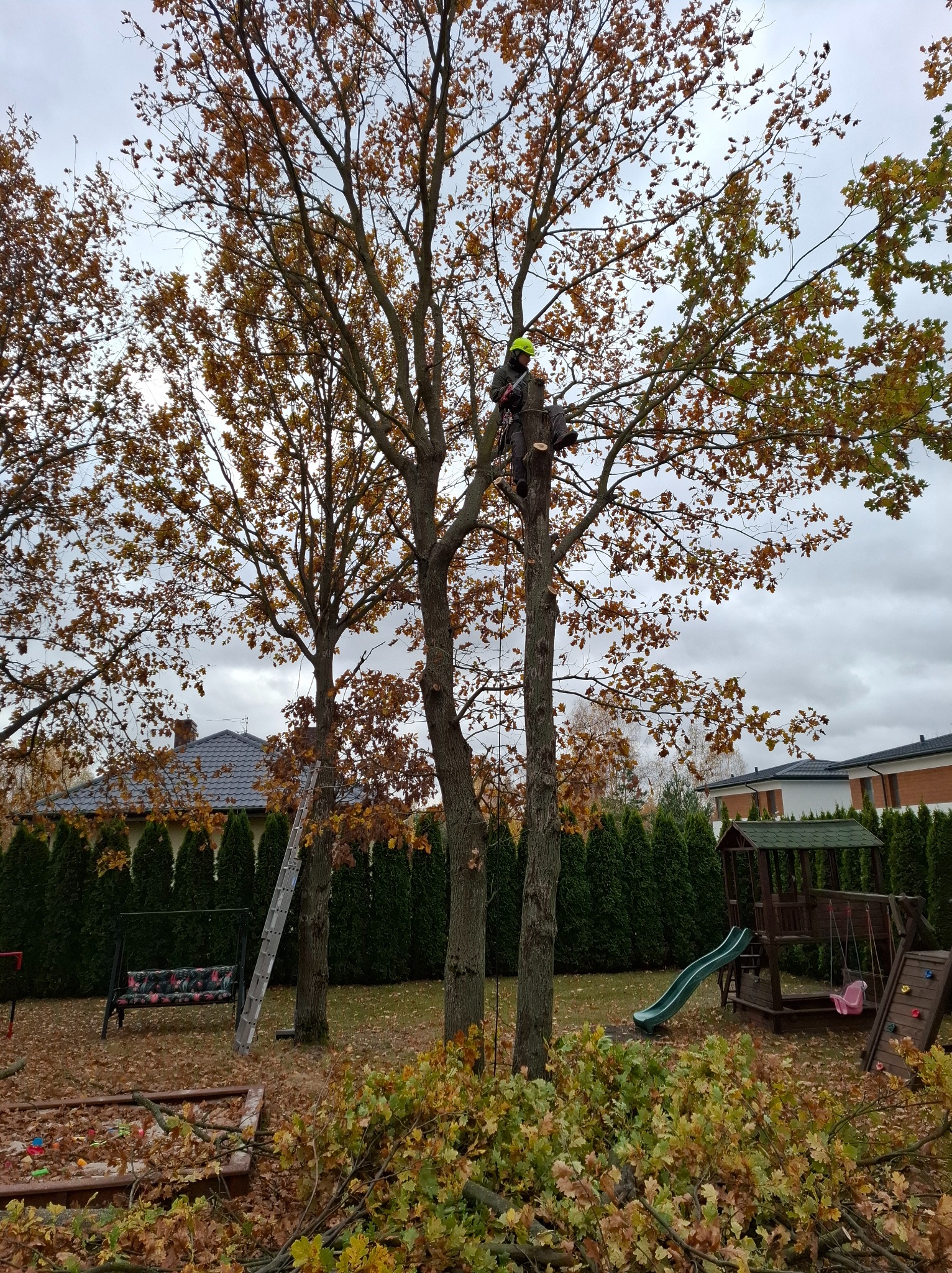 Arborysta w kasku i uprzęży, w trakcie pracy na wysokości, przycina gałęzie drzewa w ogrodzie z elementami placu zabaw w tle.