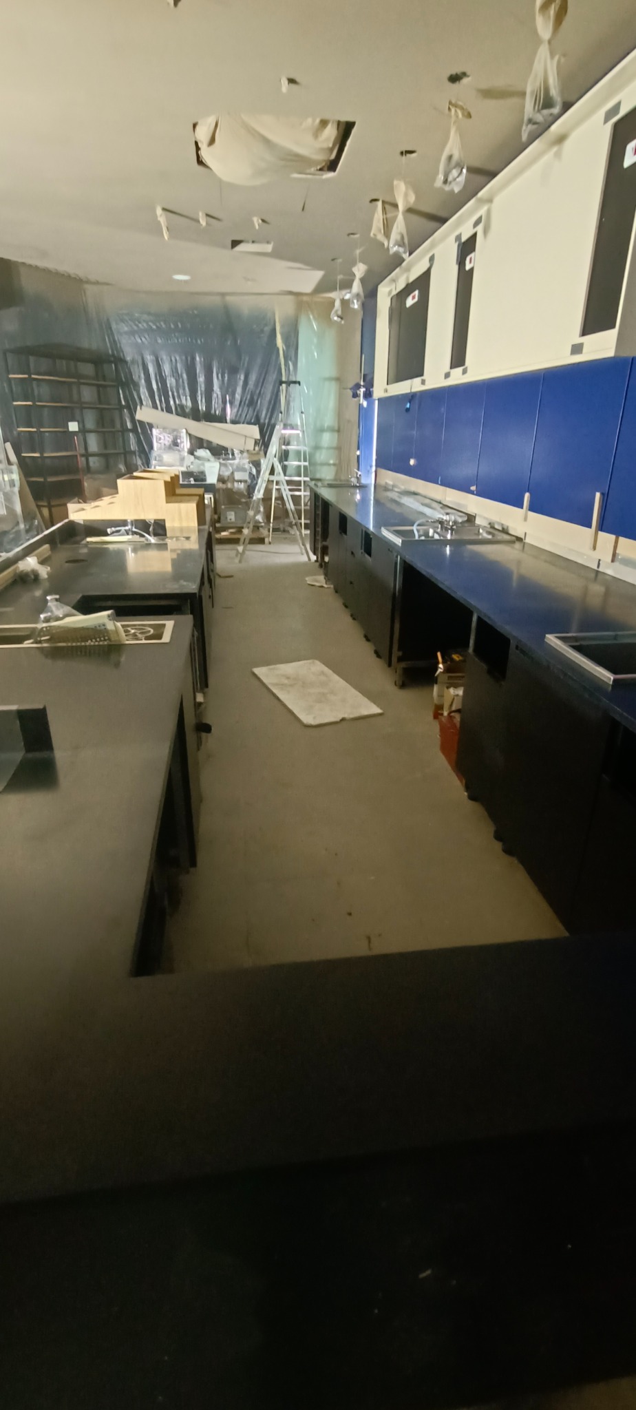 Starbucks 2 procesieeee