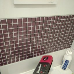 Glazurnik Pakość 3