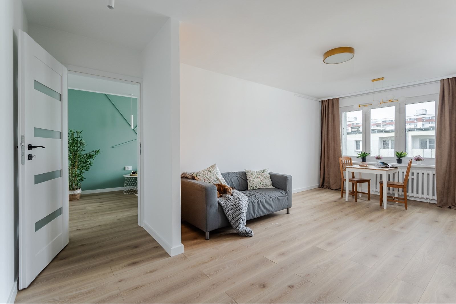 Jasne wnętrze mieszkania z drewnianą podłogą, szarą sofą z pledem i poduszkami, białym stołem z krzesłami przy oknie z brązowymi zasłonami oraz otwartymi białymi drzwiami do pomieszczenia z zieloną...